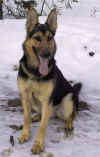 Bella 3.jpg (48151 tavu(a))