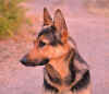 Bella kasvot2 5 09.jpg (67507 tavu(a))